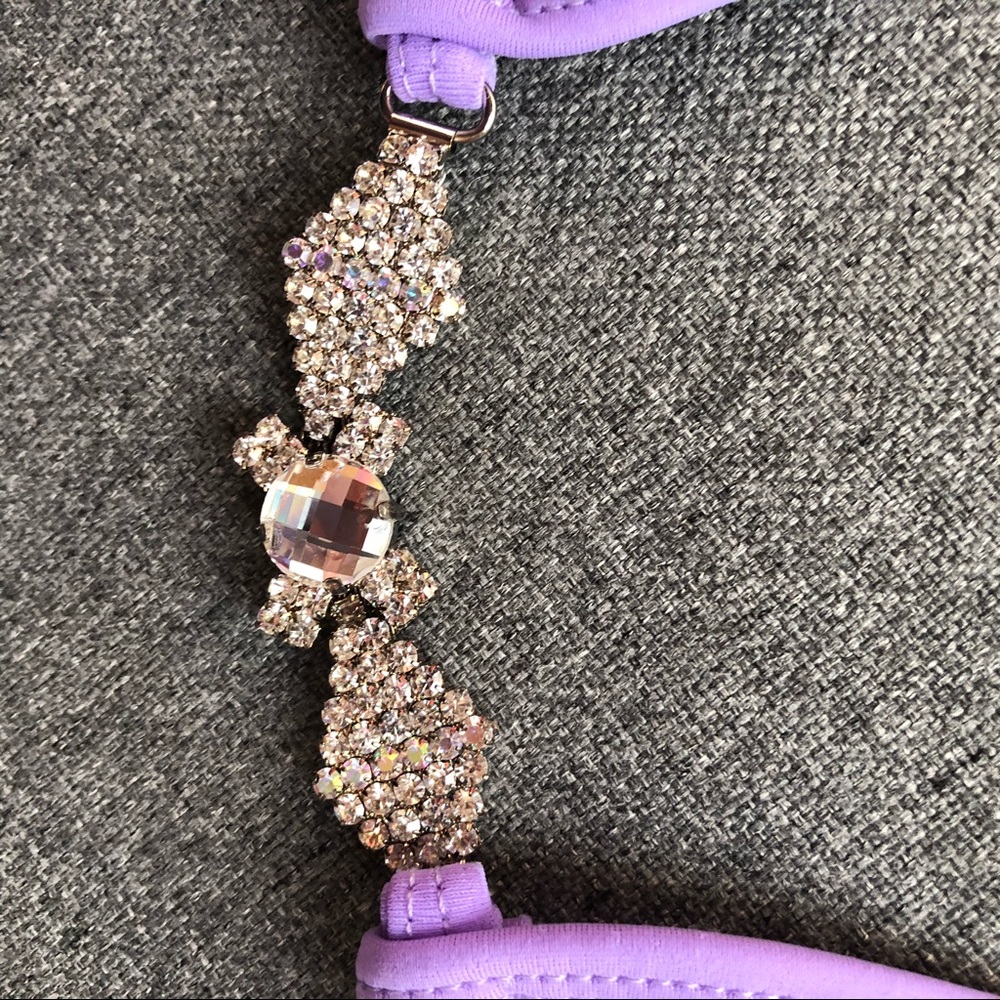Custom Competition Bikini - Picture 2 of 6